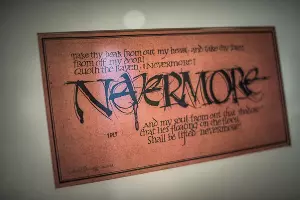  &copy;&nbsp;Елена Синеок, Юга.ру