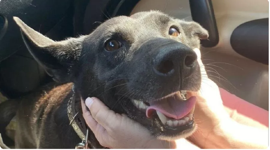  &copy;&nbsp;Скриншот с сайта www.change.org