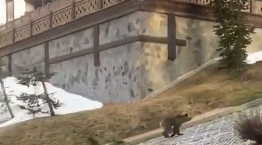  © Скриншот со страницы instagram.com/misslopes1990