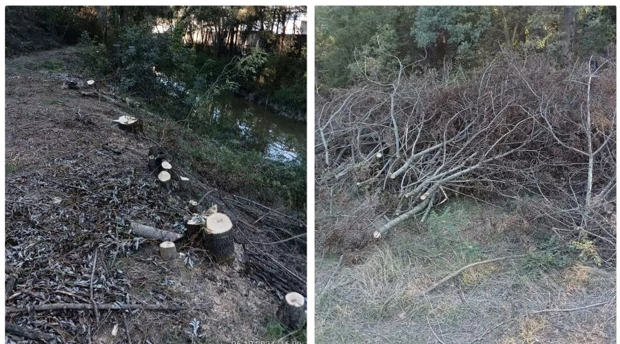  &copy;&nbsp;Скриншот фото из телеграм-канала &laquo;Наша газета Новороссийск&raquo;