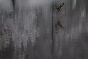 Снег в Краснодаре &copy;&nbsp;Фото Елены Синеок, Юга.ру