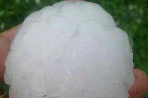  &copy;&nbsp;Фото Кристины Белой