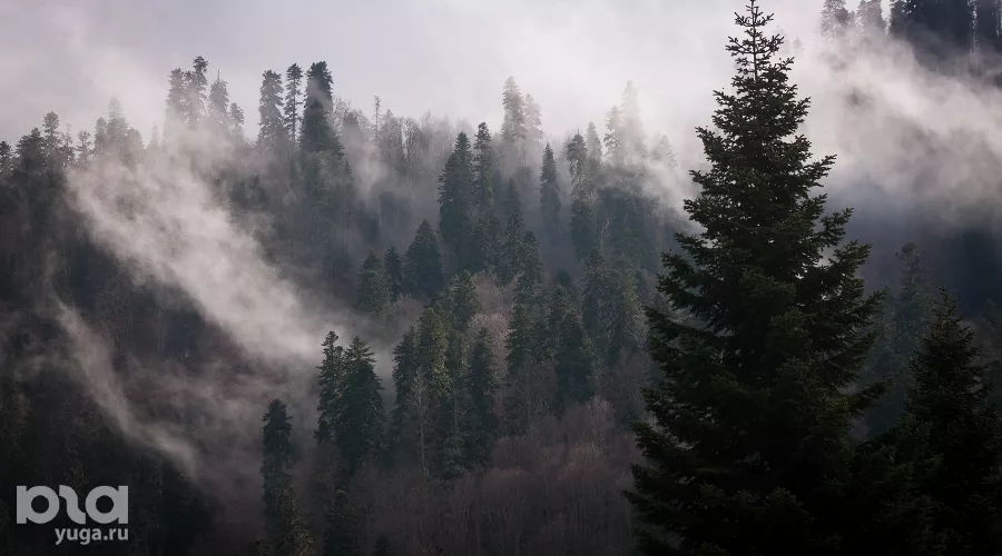 Экспедиция в горную Абхазию &copy;&nbsp;Фото Елены Синеок, Юга.ру