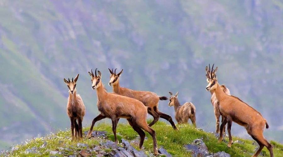  © Фото Александра Перевозова