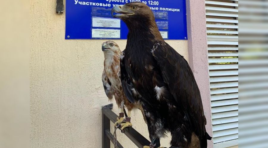  &copy;&nbsp;Фото пресс-службы администрации Анапы