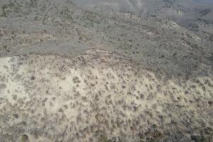 Заповедник "Утриш" &copy;&nbsp;Фото Андрея Маковозова, предоставлено Юга.ру