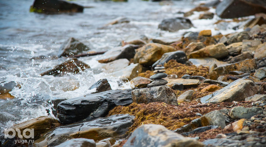  © Фото Елены Синеок, Юга.ру