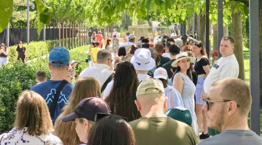  &copy;&nbsp;Скриншот из телеграм-канала https://t.me/tipichkras