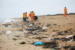  © Фото Славы Замыслова, Гринпис