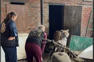  &copy;&nbsp;Скриншот из телеграм-канала прокуратуры Краснодарского края https://t.me/proc_23/16813