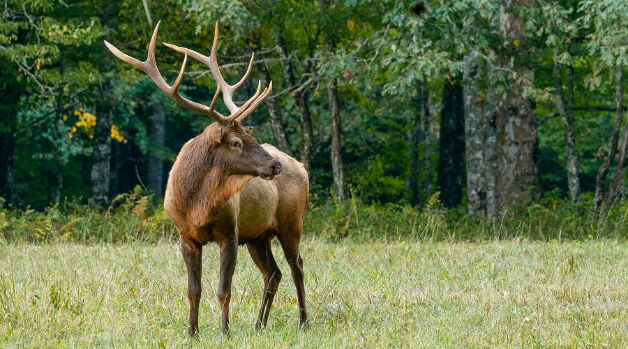  © Фото Edward Taylor с сайта unsplash.com