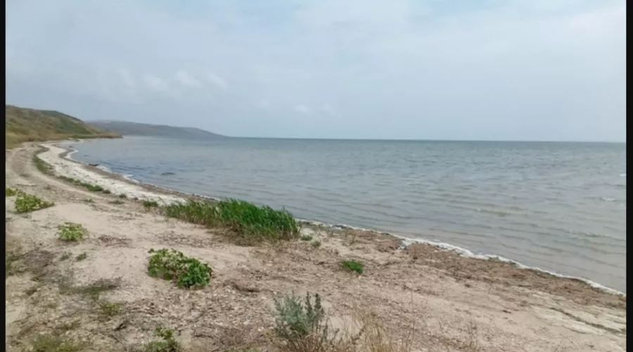  &copy;&nbsp;Скриншот с сайта природного парка &laquo;Анапская пересыпь&raquo; www.uooptkk.ru