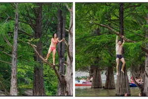  &copy;&nbsp;Скриншот из телеграм-канала &laquo;Партия Зеленые&raquo; https://t.me/greensrussia/3714