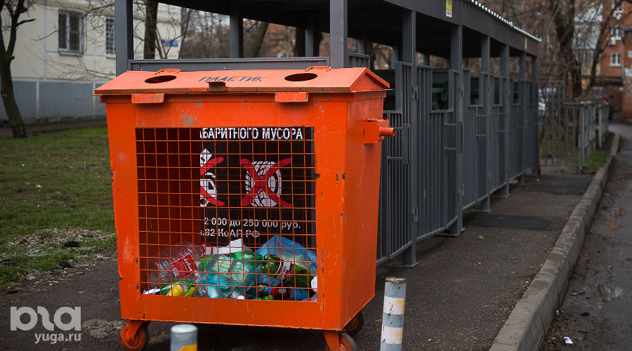 Контейнеры для сбора мусора © Фото Елены Синеок, Юга.ру