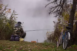 Туман в парке «Солнечный остров» &copy;&nbsp;Фото Елены Синеок, Юга.ру