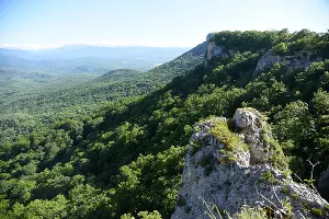  &copy;&nbsp;Фото Елены Синеок, Юга.ру