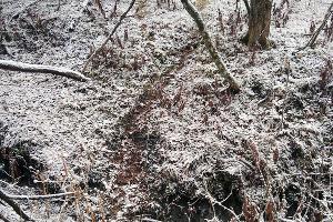  © Фото пресс-службы Кавказского заповедника