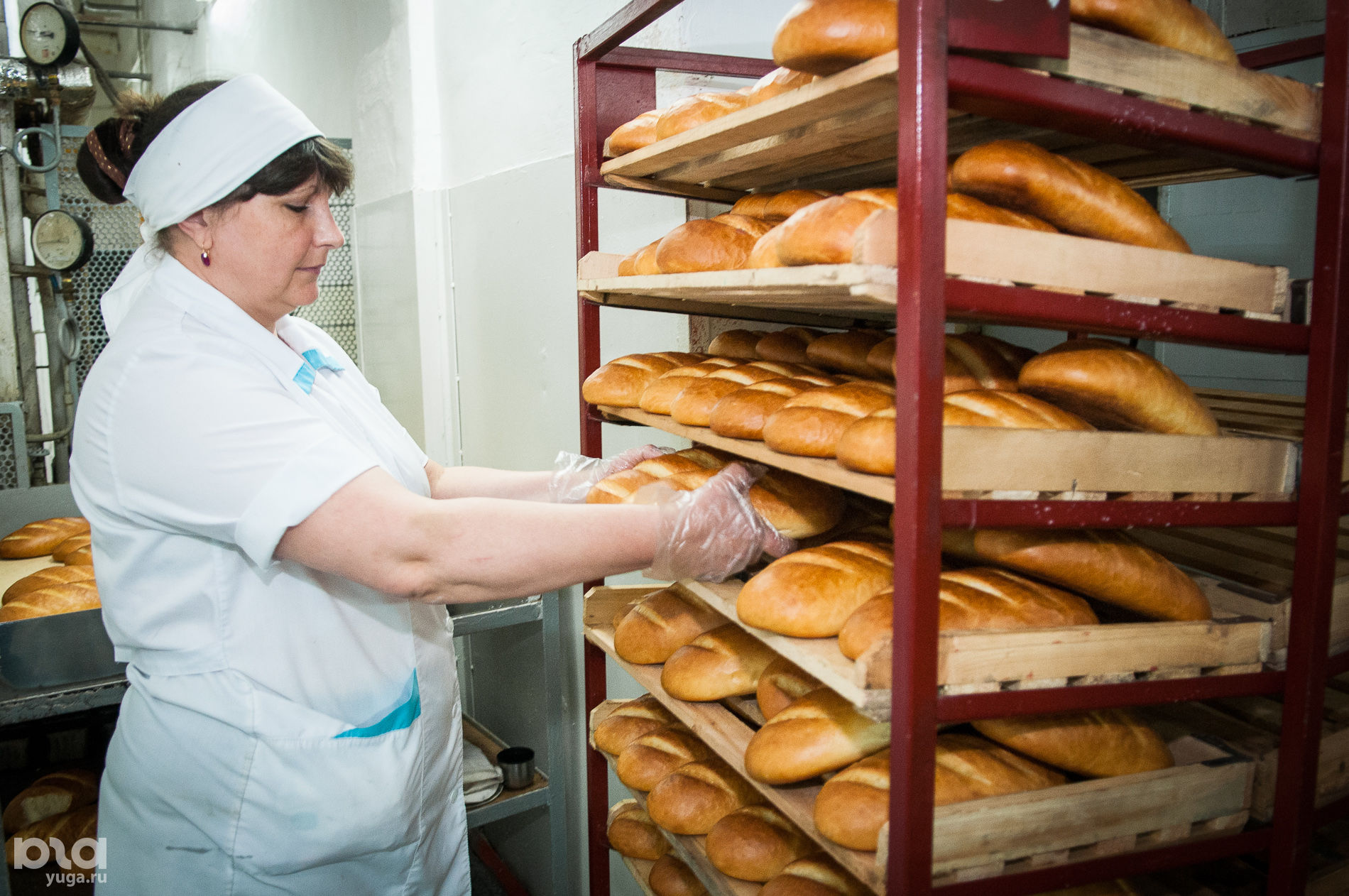 пекарь с хлебом. нижегородский хлебозавод в москве. ооо первый шарьинский хлебозавод шарья. хлебозавод нижний новгород вакансии. хлебозавод нижний новгород вакансии.