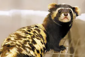  &copy;&nbsp;Фото с сайта ekburg.ru