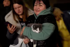  &copy;&nbsp;Фото Алексея Гусева