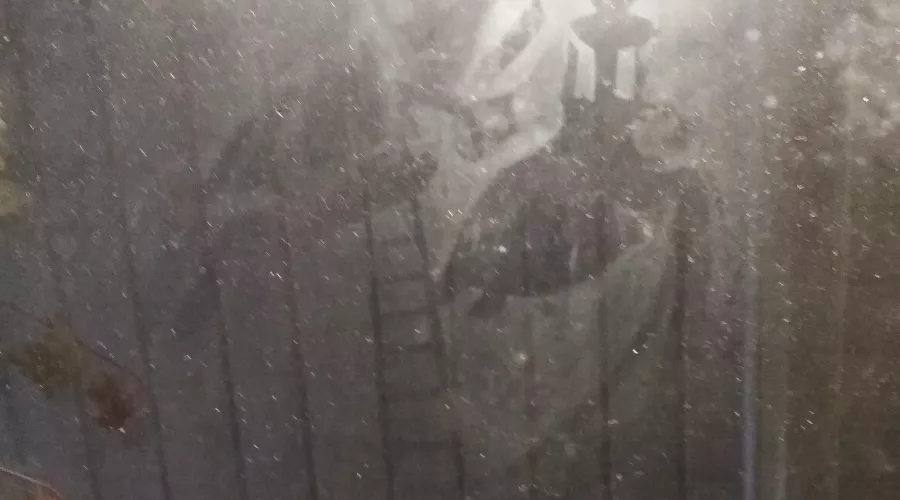  &copy;&nbsp;Фото Юга.ру