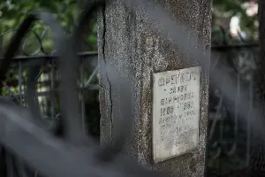 Еврейское кладбище Краснодара &copy;&nbsp;Фото Елены Синеок, Юга.ру