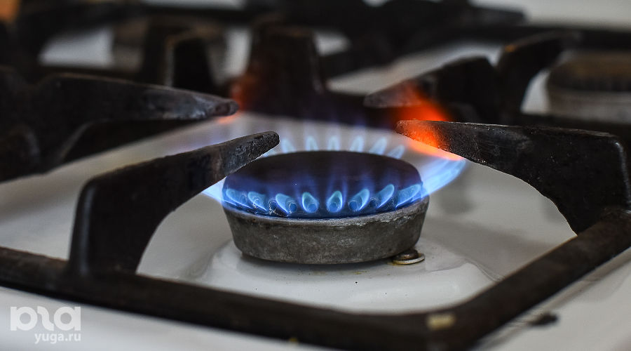  © Фото Елены Синеок, Юга.ру