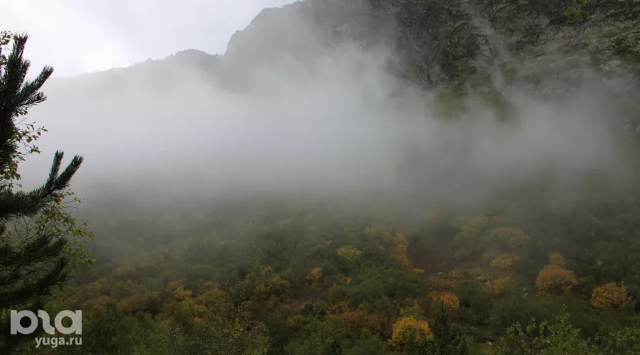  &copy;&nbsp;Фото Марины Солошко, Юга.ру