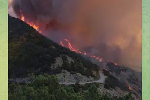 Пожар в Сухой Щели рядом с Новороссийском, 14 июля 2024 г. &copy;&nbsp;Скриншот публикации в телеграм-канале &laquo;Типичный Краснодар&raquo;, t.me/krd_tipich_ru