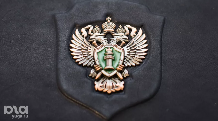  &copy;&nbsp;Елена Синеок, Юга.ру