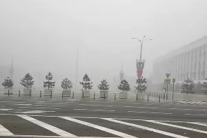  &copy;&nbsp;Скриншот фото из телеграм-канала &laquo;Трамвай лета&raquo;