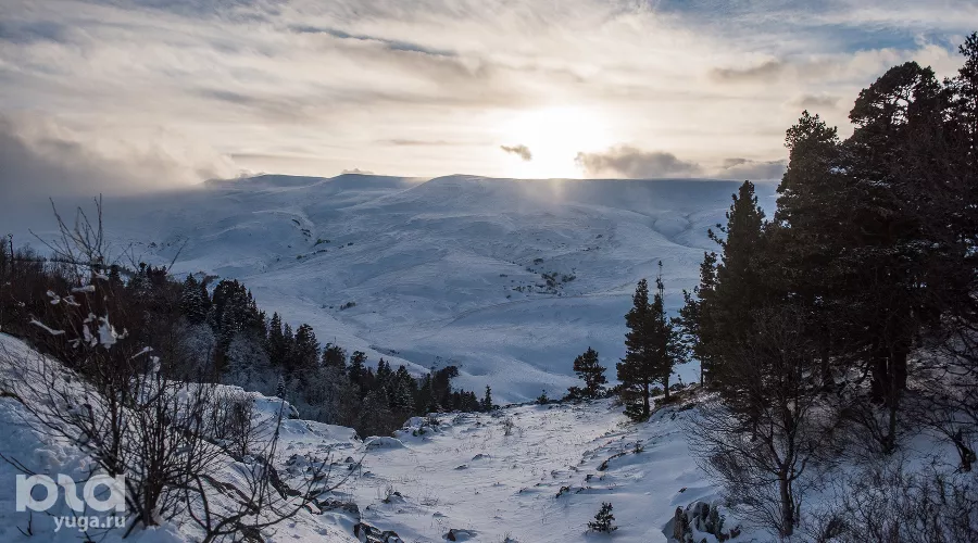  &copy;&nbsp;Фото Елены Синеок, Юга.ру