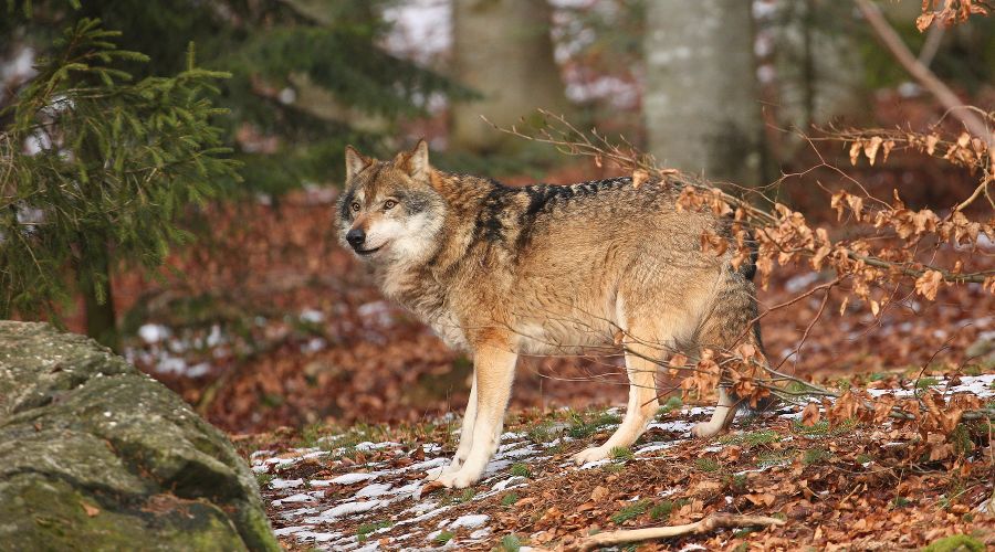  &copy;&nbsp;фото vladimircech, сайт freepik.com