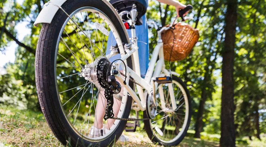  &copy;&nbsp;Фото FX Quadro, freepik.com