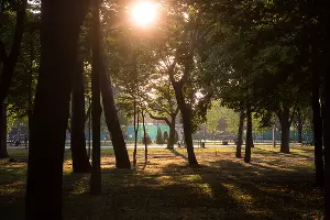  &copy;&nbsp;Фото Елены Синеок, Юга.ру