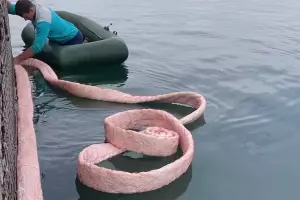  &copy;&nbsp;Скриншот видео из инстаграма дельфинария в Утрише, instagram.com/delfinariy.utrish