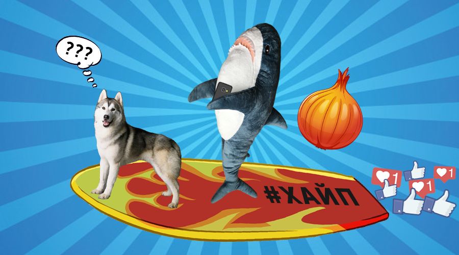 Западносибирская лайка лайки. Сибирский хаски волчий окрас. Шлейка tractive force. Аборигенные лайки сибири. Лайки собаки с елкой на фото.