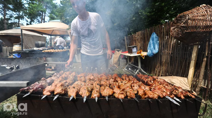 Шашлык &copy;&nbsp;Фото Елены Синеок, Юга.ру