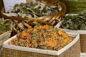  &copy;&nbsp;Фото администрации Тимашевского района