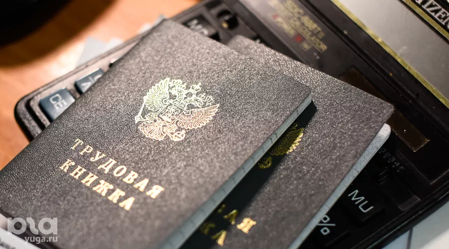 Трудовая книжка &copy;&nbsp;Фото Елены Синеок, Юга.ру