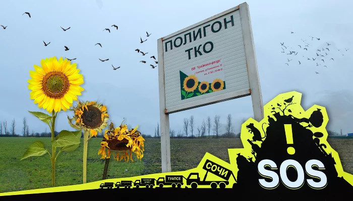  &copy;&nbsp;Коллаж Дмитрия Пославского, Юга.ру