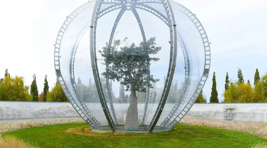  &copy;&nbsp;Фото из инстаграма парка &laquo;Краснодар&raquo;, instagram.com/officialparkkrasnodar