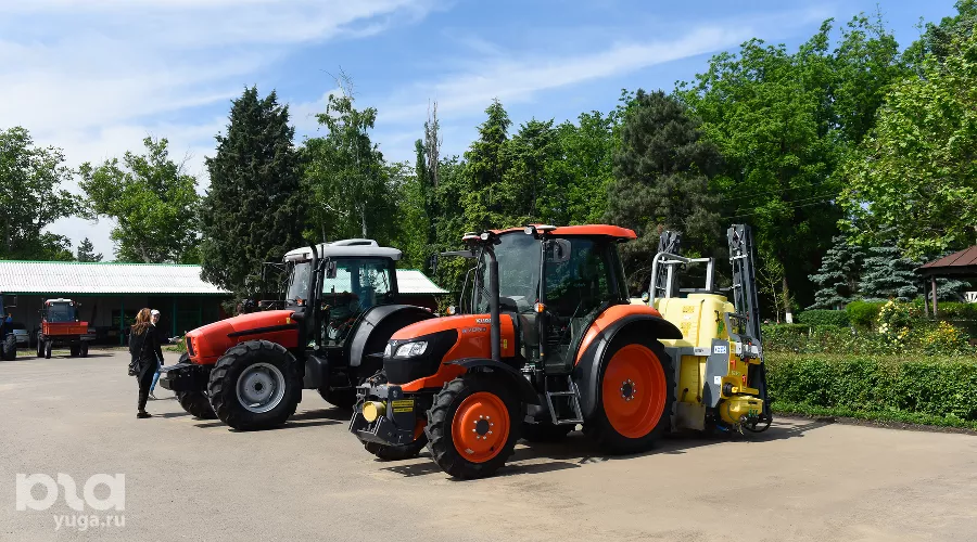  &copy;&nbsp;Фото Елены Синеок, Юга.ру