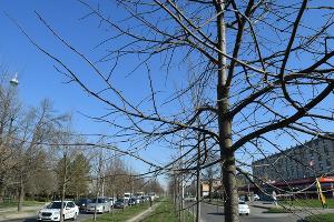  &copy;&nbsp;Фото пресс-службы администрации Краснодара