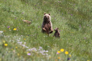  © Фото Юрия Дороша