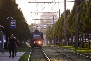  &copy;&nbsp;Фото Елены Синеок, Юга.ру