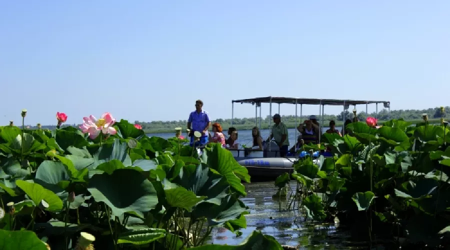  &copy;&nbsp;Фото пресс-службы Южного СУТ России