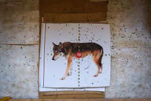 Водопады Руфабго в Адыгее &copy;&nbsp;Елена Синеок, ЮГА.ру