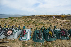 Раскопки в Фанагории. Уцелевшая гробница позднеантичной эпохи © Фото Елены Синеок, Юга.ру