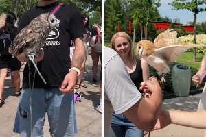  &copy;&nbsp;Скриншоты видео из соцсетей Андрея Головинского